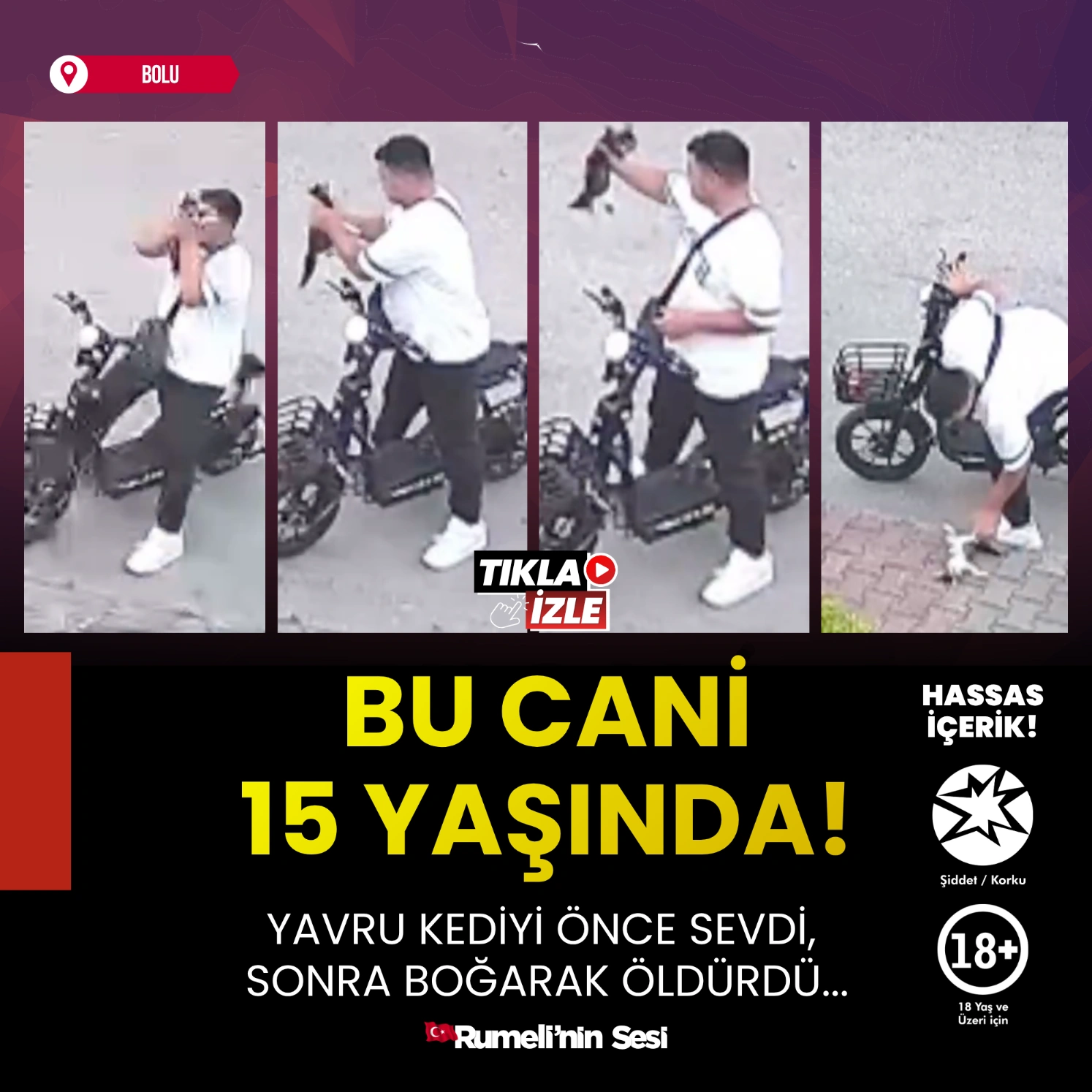 Bolu’da İnsanlık Dışı Vahşet: Yavru Kediyi Öptükten Sonra Boğarak Öldürdü