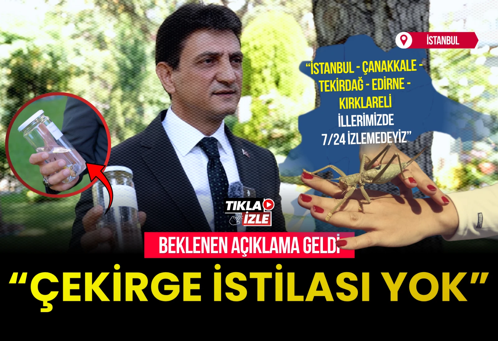 ÇEKİRGE İSTİLASI İDDİALARINA RESMİ YALANLAMA: "ÇEKİRGE İSTİLASI YOK"