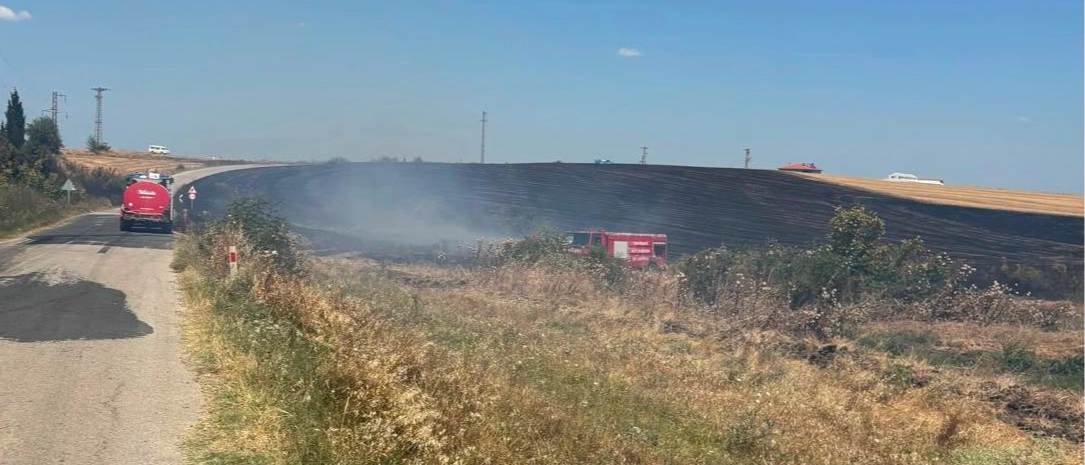 Tekirdağ'da anız yangını: 150 dekar tarım arazisi zarar gördü