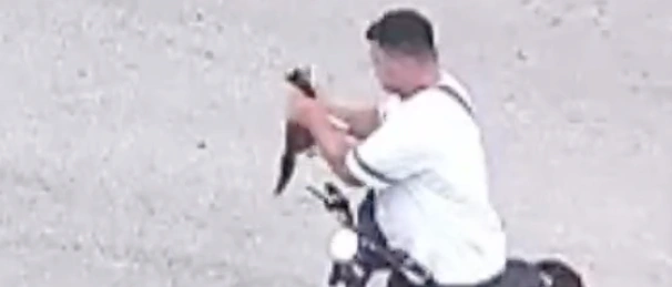 Bolu’da İnsanlık Dışı Vahşet: Yavru Kediyi Öptükten Sonra Boğarak Öldürdü